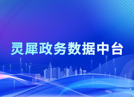 靈犀政務數(shù)據中台